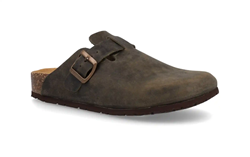 SABOT 11 VEGAS IMB CRAZY HORSE BOSCO